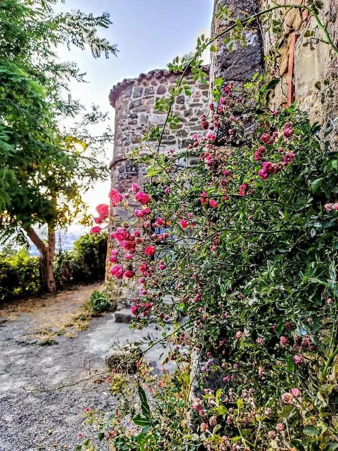 Historic 14Th Century Palazzo Apartments Sarteano