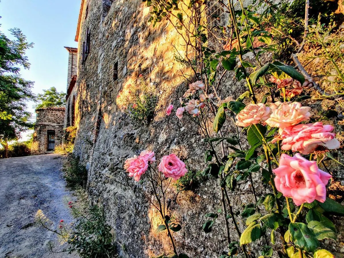 Historic 14Th Century Palazzo Apartments Sarteano